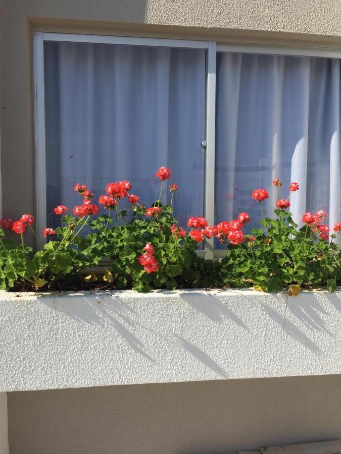 Apto Em Otima Localizacao! Lages Eksteriør bilde
